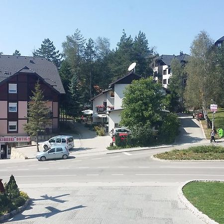 Vila As Daire Zlatibor Dış mekan fotoğraf